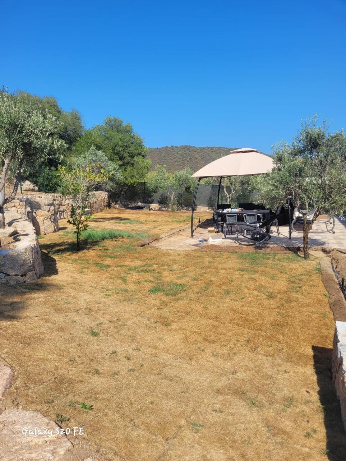 Residenza Degli Ulivi Apartment Olbia Ngoại thất bức ảnh